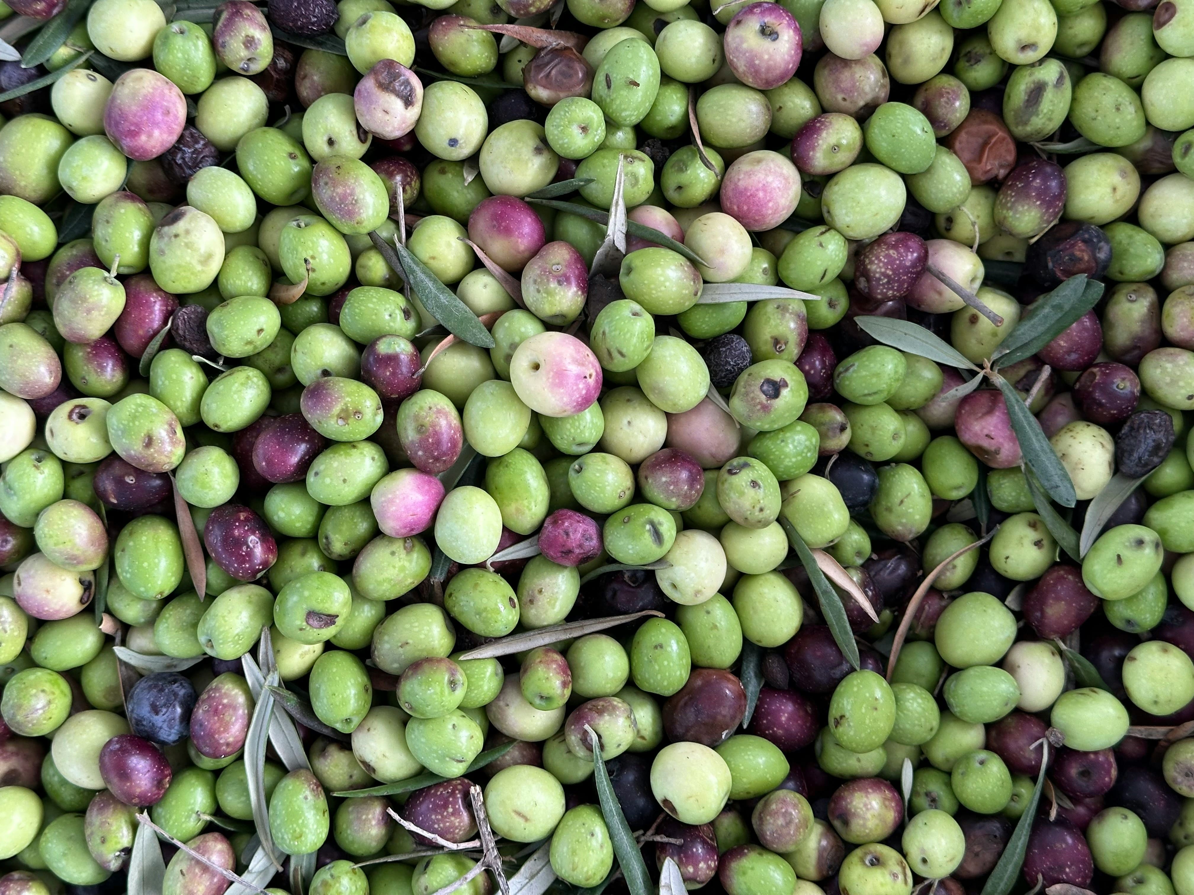 西班牙旅遊怎麼玩最省？預算、簽證、物價、季節、穿搭與治安一次搞懂（2025） | 輕裝上陣